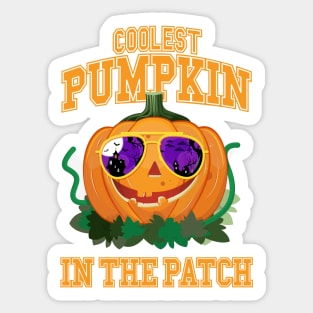 Coolest Pumpkin in the Patch Sticker